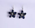 Hydro Blue Sapphire Hook Earrings